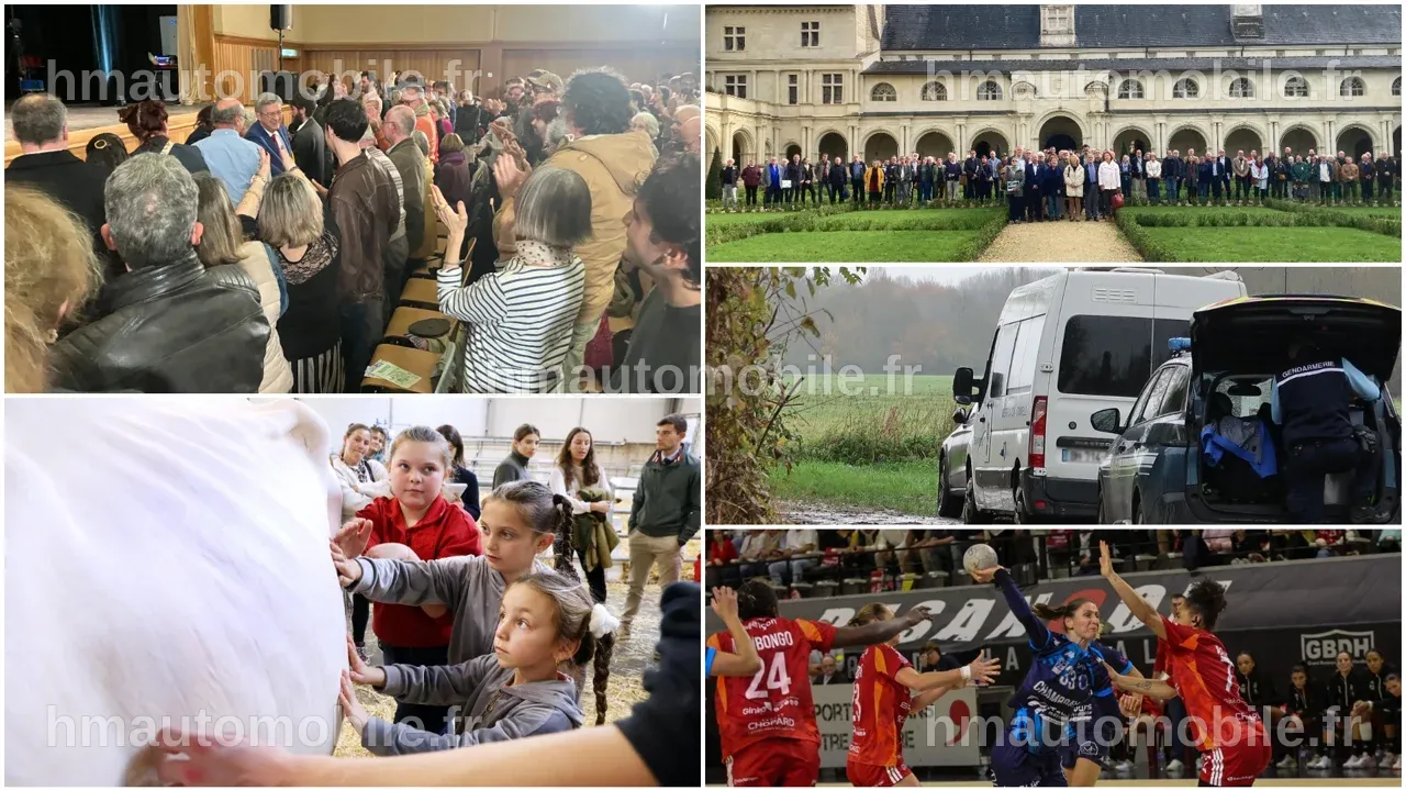 Événements marquants du week-end de novembre, avec des photos de manifestations et d'activités communautaires.